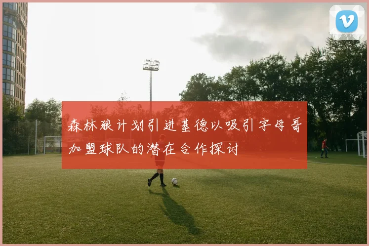 森林狼计划引进基德以吸引字母哥加盟球队的潜在合作探讨
