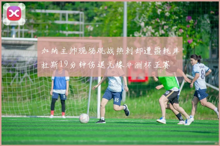 加纳主帅现场观战热刺却遭噩耗库杜斯19分钟伤退无缘非洲杯正赛